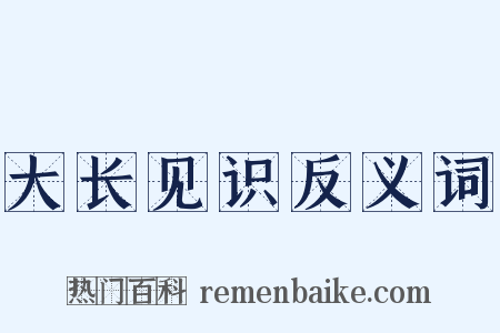 大长见识反义词是什么意思的图片